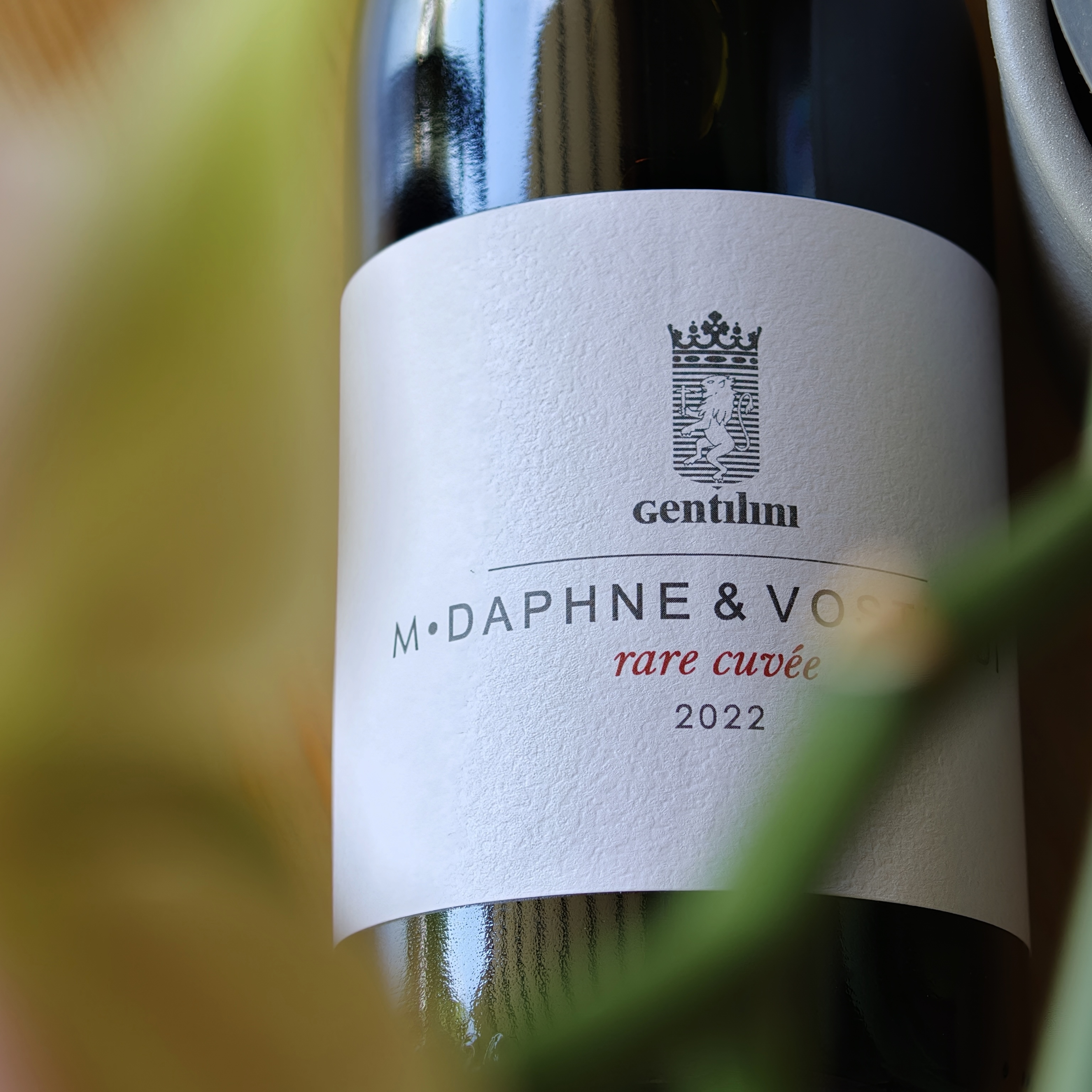 Rare Cuvée Gentilini — Σπάνιο ελληνικό κρασί Halfglass Κηφισιά